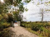 4732 60B Street - Photo 34