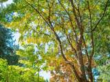 8626 Redrooffs Road - Photo 28