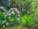 8626 Redrooffs Road - Photo 34