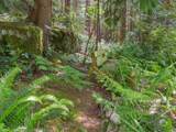 8626 Redrooffs Road - Photo 35