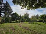 5185 234 Street - Photo 35