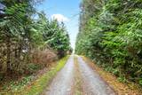 29907 Dewdney Trunk Road - Photo 5