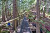 Block 1 Jervis Inlet Beach - Photo 19