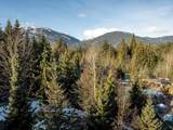 4591 Blackcomb Way - Photo 13