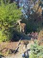 13631 228 Street - Photo 39