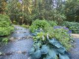 42602 Majuba Hill Road - Photo 37