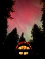 27294 Yurkin Road - Photo 4