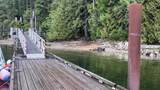 Lot 12 Williams Landing - Photo 39