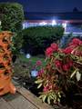 9299 121 Street - Photo 2