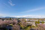 3489 Puget Drive - Photo 33