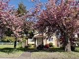 8110 Osler Street - Photo 38