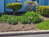 23580 Dewdney Trunk Road - Photo 25