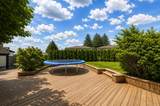 7868 Elwell Street - Photo 1