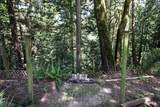 4144 Belanger Drive - Photo 13