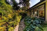 806 Hummingbird Lane - Photo 38
