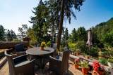 806 Hummingbird Lane - Photo 8