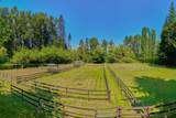 21810 132 Avenue - Photo 8