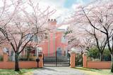 6718 Burns Street - Photo 2