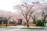 6718 Burns Street - Photo 39