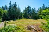 1580 Evergreen Lane - Photo 24