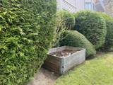 9299 121 Street - Photo 4