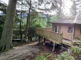 427 Collingwood Road - Photo 23