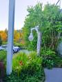4723 Hotel Lake Road - Photo 5
