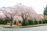 6718 Burns Street - Photo 38
