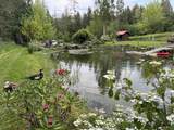 29847 Dewdney Trunk Road - Photo 10