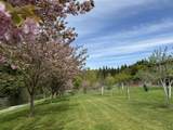 29847 Dewdney Trunk Road - Photo 17