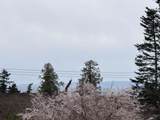 13512 14 Avenue - Photo 36