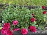 2315 198 Street - Photo 22