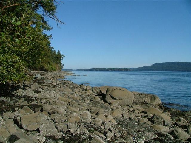 806 Walker's Hook Road - Photo 1