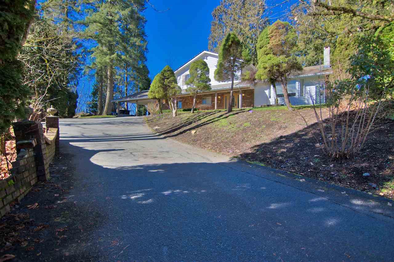 7955 229 Street - Photo 1