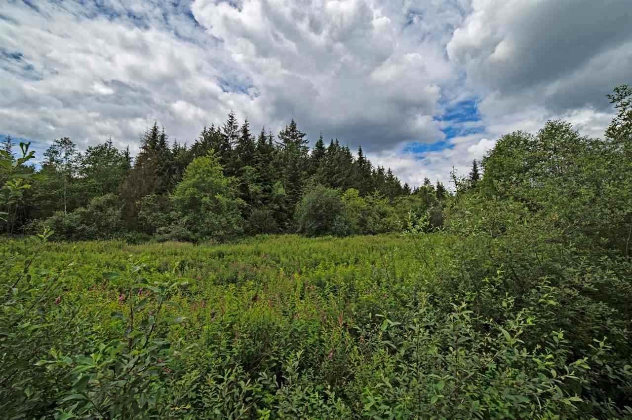 8871 Dewdney Trunk Road - Photo 1