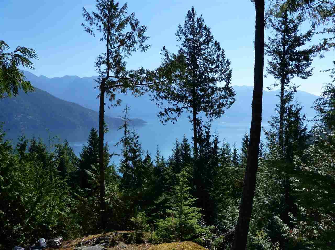 Lot 42 Douglas Bay - Photo 1