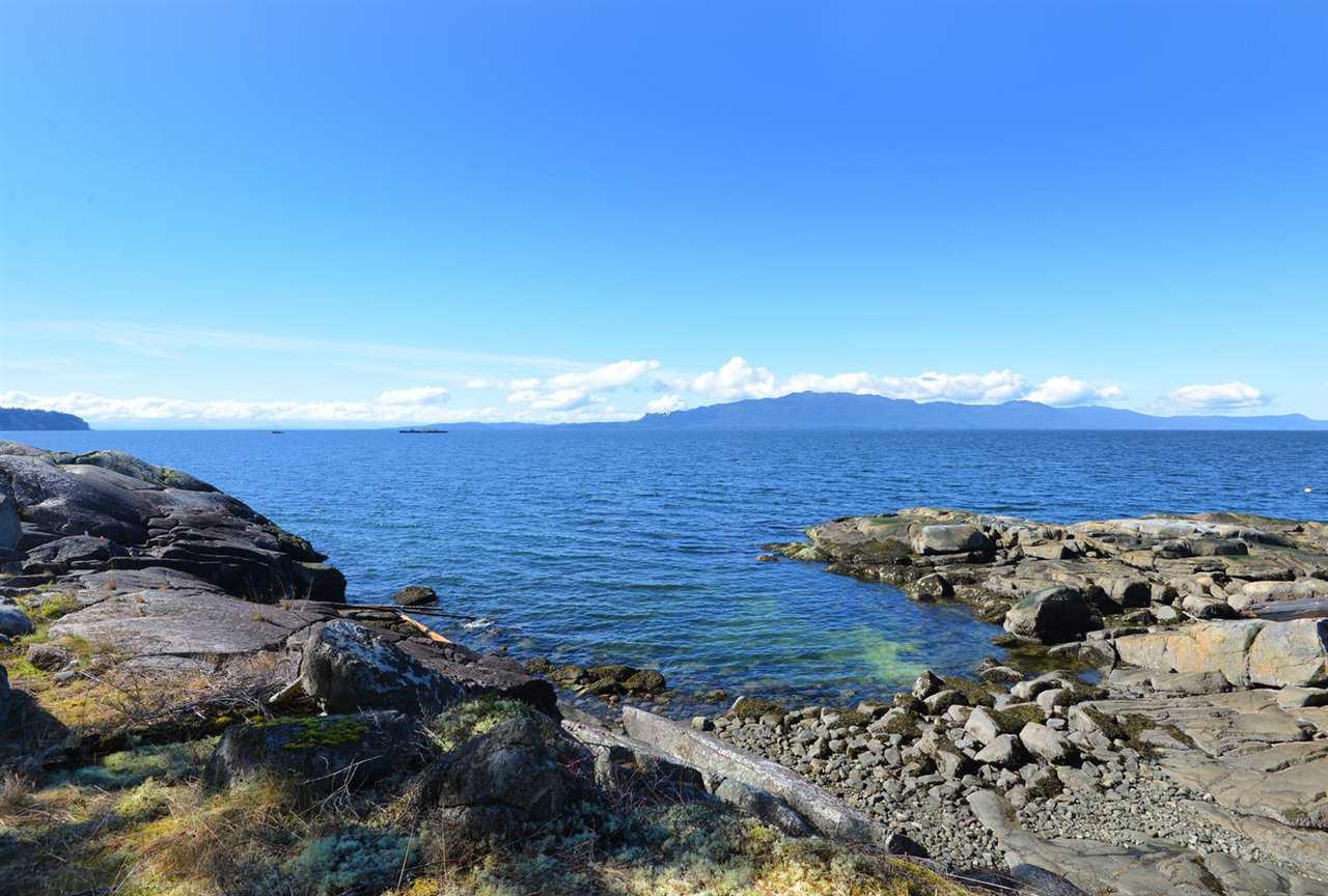 Ole's Cove Road - Photo 1