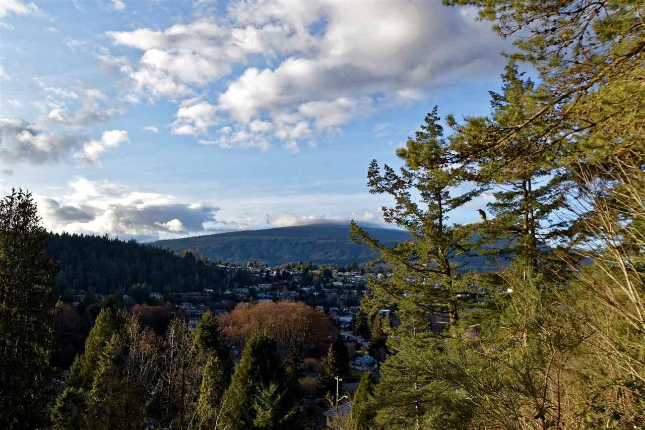Lot C Skyline Drive - Photo 1