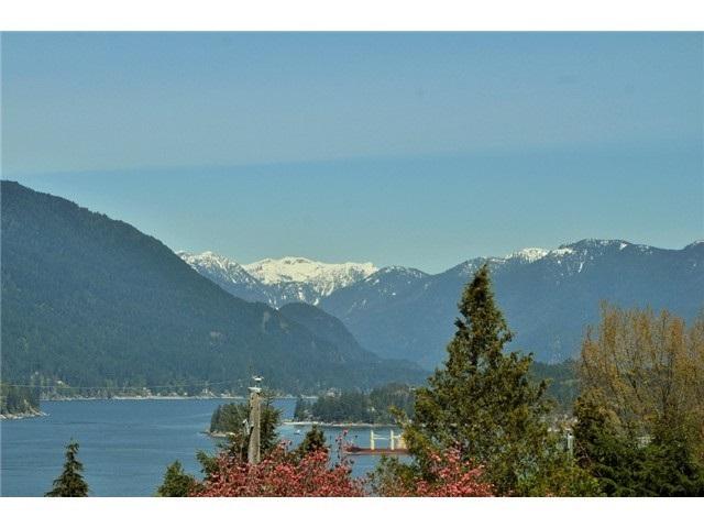 7305 Braeside Drive - Photo 1