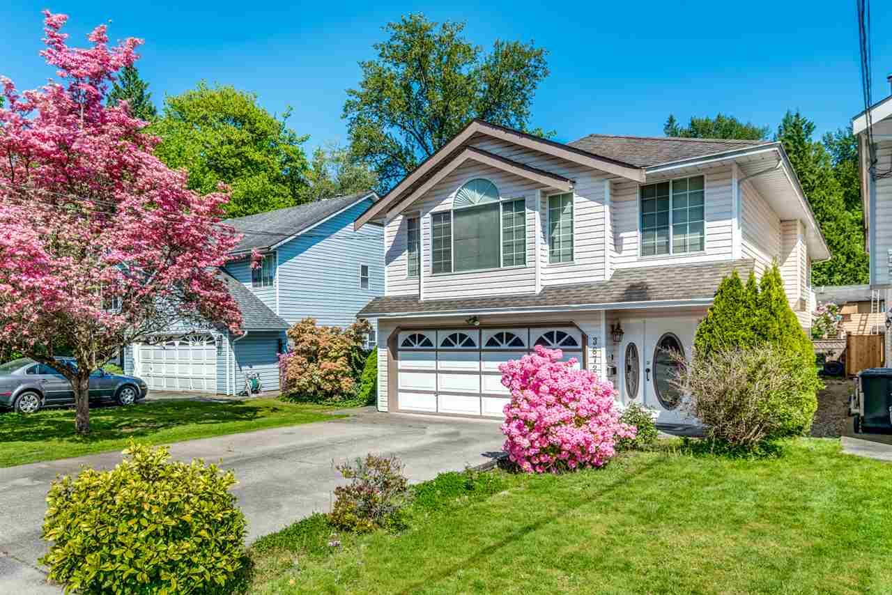 3672 Sefton Street - Photo 1
