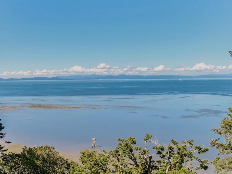 58 Tsawwassen Beach Road - Photo 1