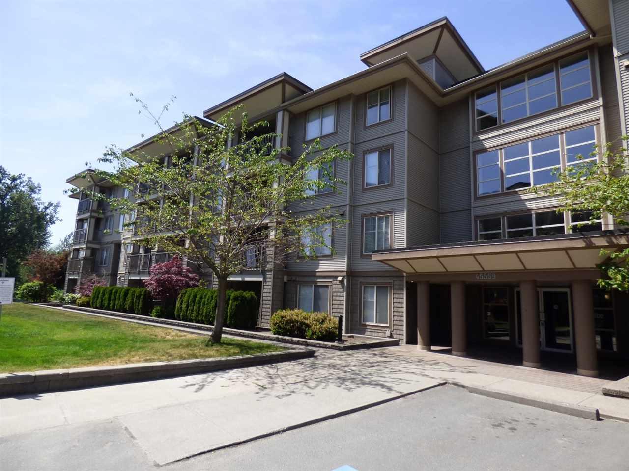 45559 Yale Road - Photo 1