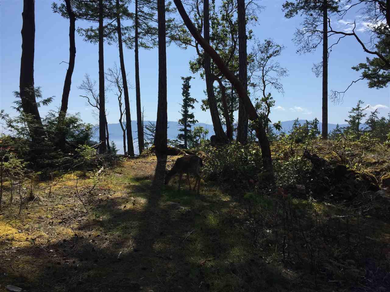 LOT 83 Johnston Heights Drive - Photo 1