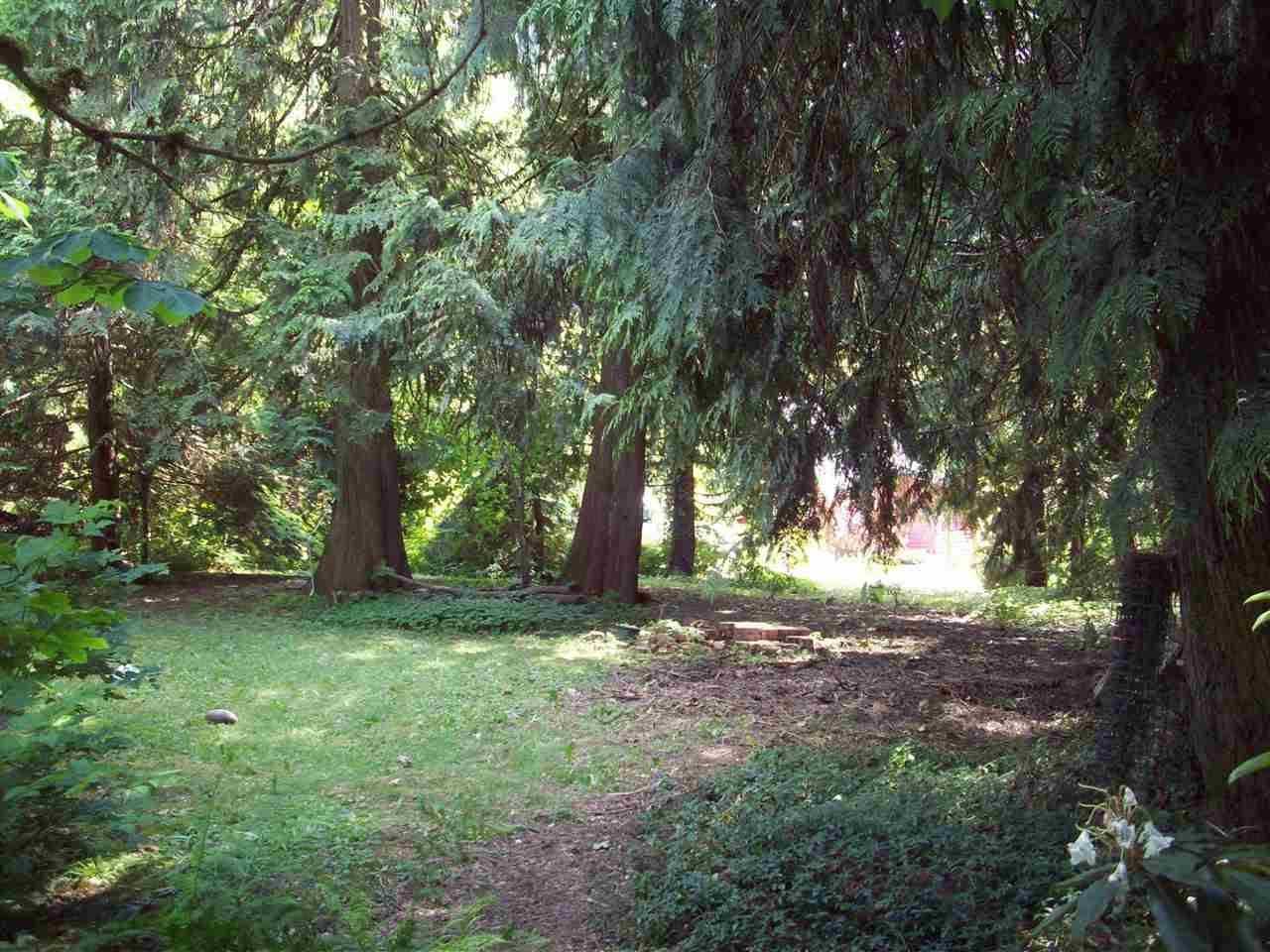 66563 Summer Road - Photo 1