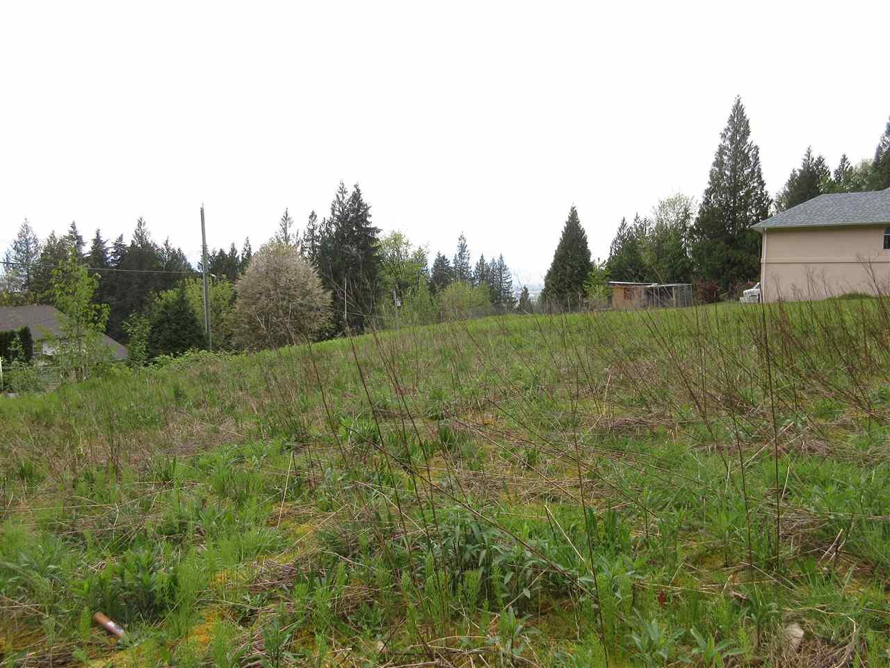 7350 Marble Hill Road - Photo 1