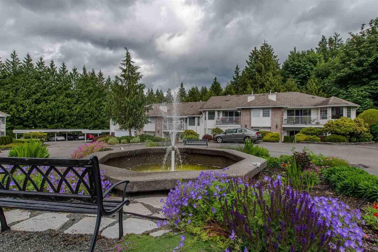 33123 George Ferguson Way - Photo 1
