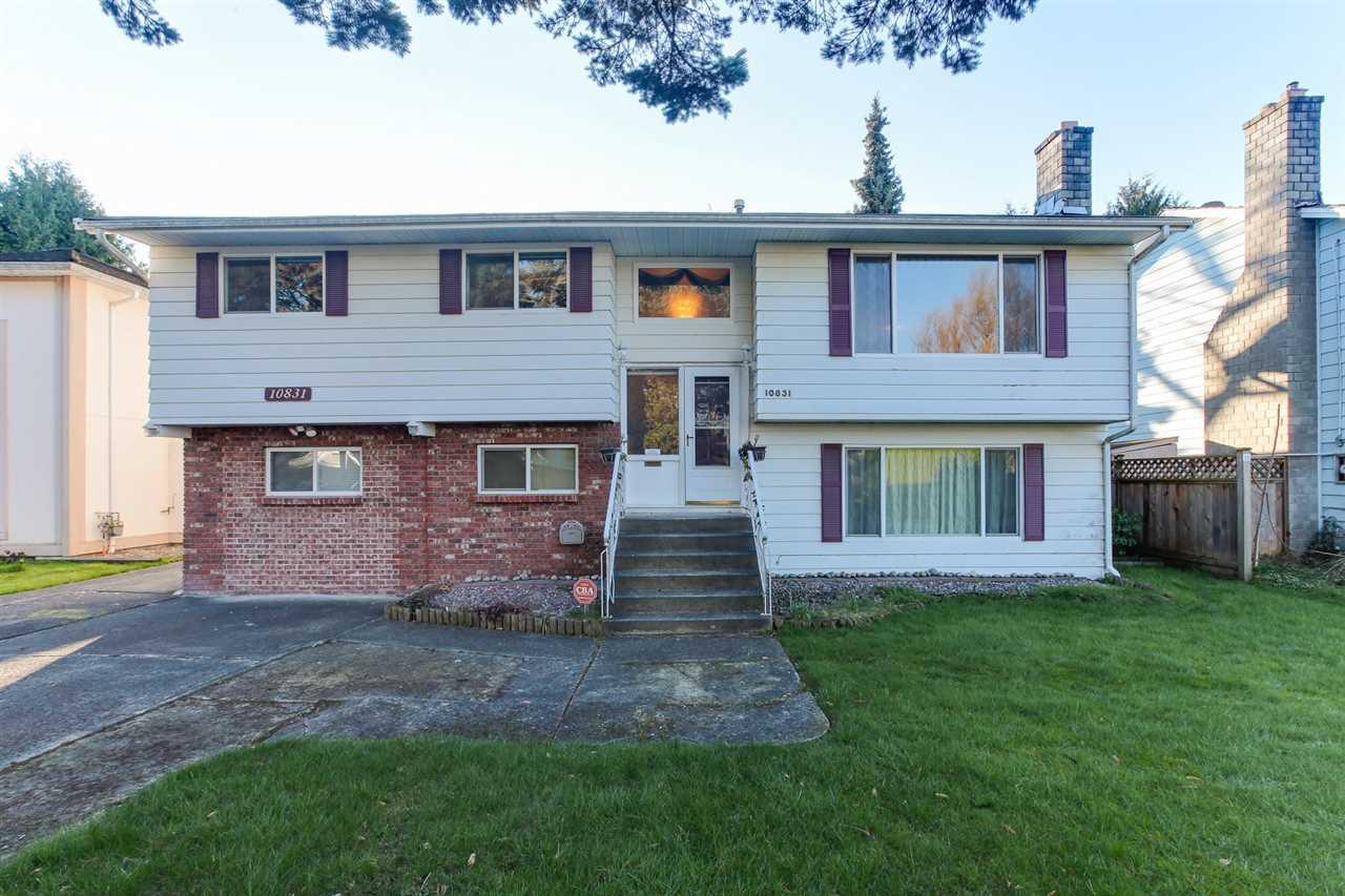10831 Rosebrook Road - Photo 1
