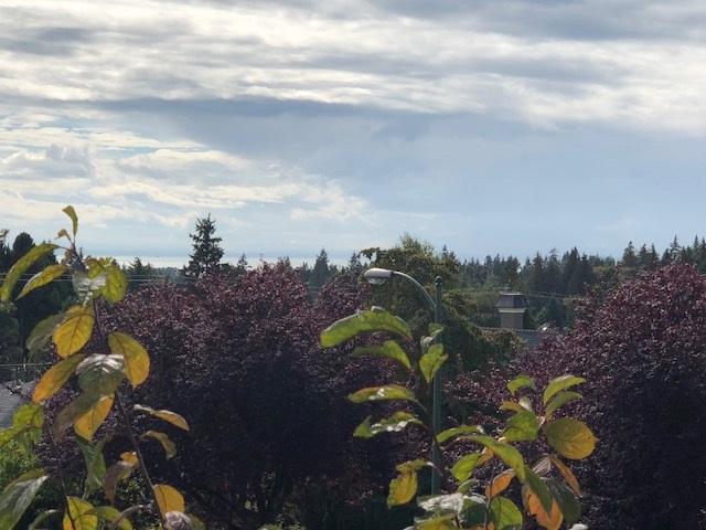3937 37TH Avenue - Photo 1
