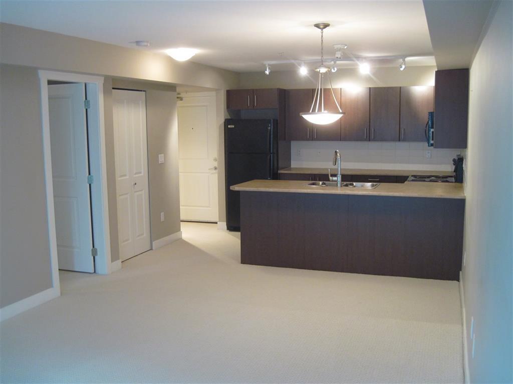 45567 Yale Road - Photo 1