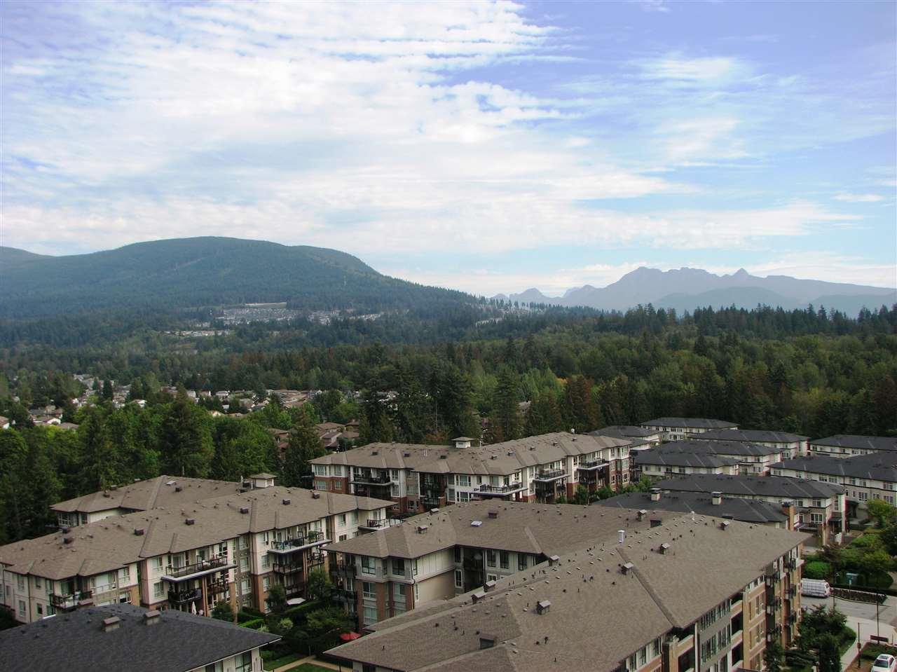 3100 Windsor Gate - Photo 1